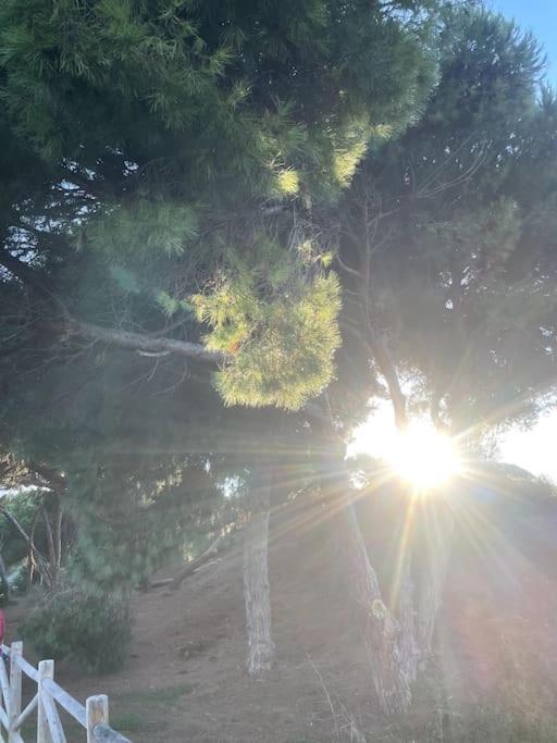 Apartament Estupendo Duplex A 5 Min Andando De La Playa Marbella Zewnętrze zdjęcie